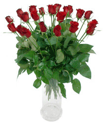  Elazığ çiçek servisi , çiçekçi adresleri  11 adet kimizi gülün ihtisami cam yada mika vazo modeli