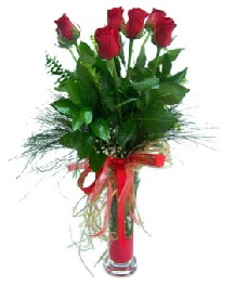 vazo içerisinde 5 kırmızı gül  Elazığ online çiçek gönderme sipariş 