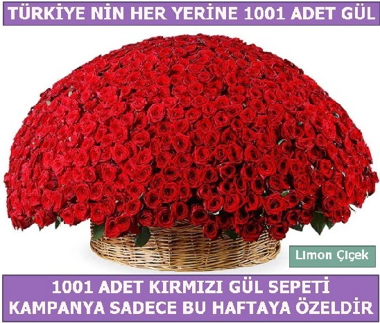 1001 Adet kırmızı gül Bu haftaya özel  Elazığ 14 şubat sevgililer günü çiçek 