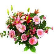 lilyum ve gerbera çiçekleri - çiçek seçimi -  Elazığ çiçek online çiçek siparişi 