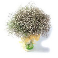  Elazığ internetten çiçek siparişi  cam yada mika vazo içerisinde cipsofilya demeti