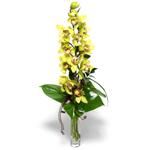 Elazığ 14 şubat sevgililer günü çiçek  cam vazo içerisinde tek dal canli orkide