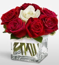 Tek aşkımsın çiçeği 8 kırmızı 1 beyaz gül  Elazığ ucuz çiçek gönder 