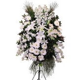  Elazığ çiçek satışı  Ferforje beyaz renkli kazablanka