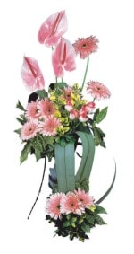  Elazığ online çiçek gönderme sipariş  Pembe Antoryum Harikalar Rüyasi
