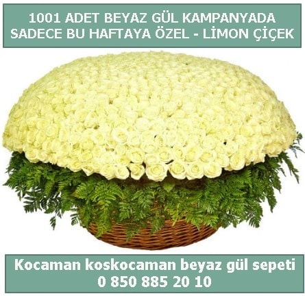 1001 adet beyaz gül sepeti özel kampanyada  Elazığ anneler günü çiçek yolla 