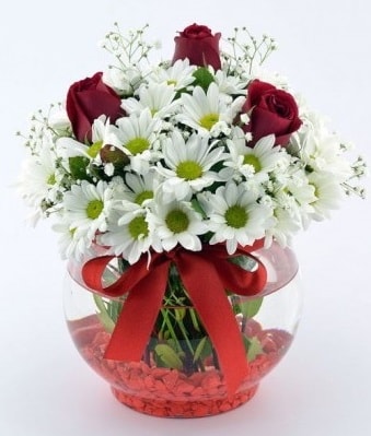 Fanusta 3 Gül ve Papatya  Elazığ İnternetten çiçek siparişi 
